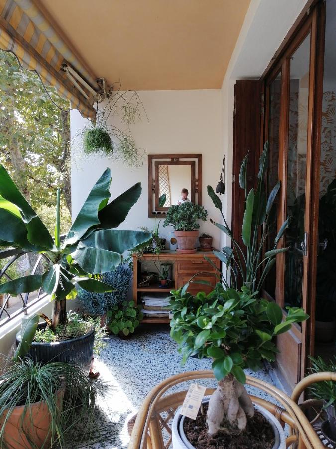 Chambre Chez L'Habitant - L'Estaque Marseille Eksteriør billede
